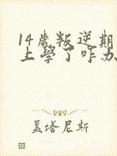 14岁叛逆期不上学了咋办