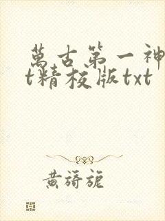 万古第一神txt精校版txt