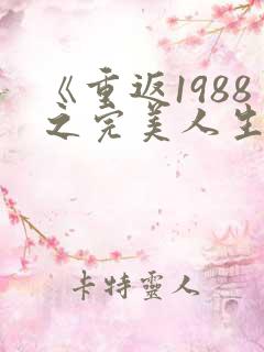 《重返1988之完美人生》小说