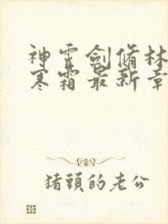 神霄剑修林枫冷寒霜最新章节