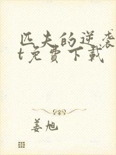 匹夫的逆袭txt免费下载