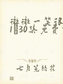 微微一笑很倾城1―30集免费高清