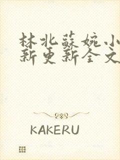 林北苏婉小说最新更新全文免费阅读