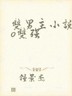 双男主小说abo双强