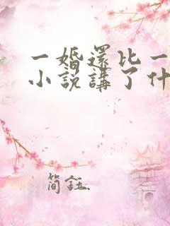 一婚还比一婚高小说讲了什么