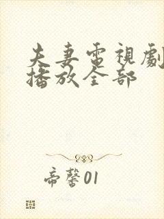 夫妻电视剧免费播放全部