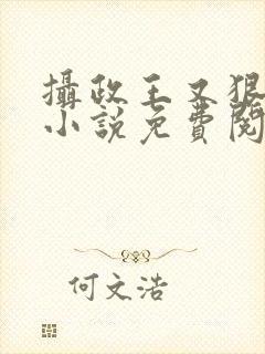 摄政王又狠又凶小说免费阅读