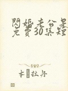 闪婚老公是豪门免费30集短剧