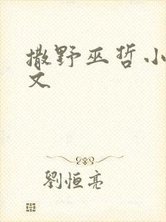 撒野巫哲小说全文