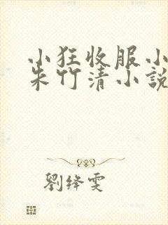 小狂收服小舞,朱竹清小说免费阅读