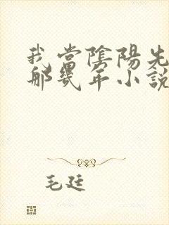 我当阴阳先生的那几年小说全文免费阅读