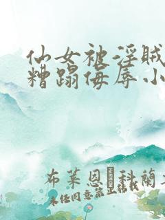 仙女被淫贼强行糟蹋侮辱小说