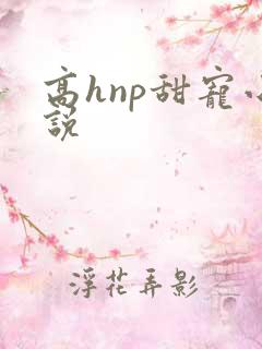 高hnp甜宠小说