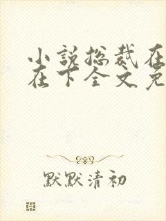 小说总裁在上我在下全文免费阅读