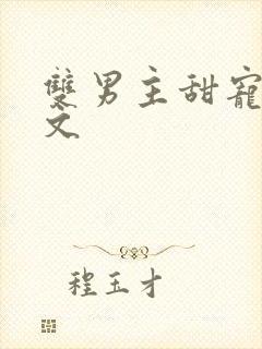 双男主甜宠生子文