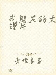 我朋友的丈夫伦理片