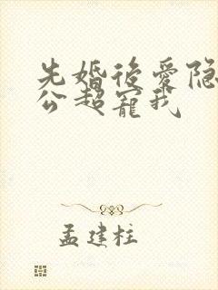 先婚后爱隐婚老公超宠我