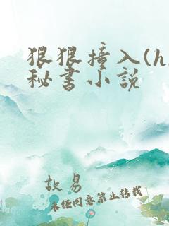 狠狠撞入(h)秘书小说