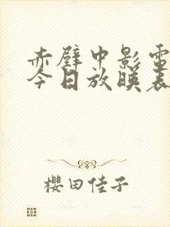 赤壁中影电影院今日放映表