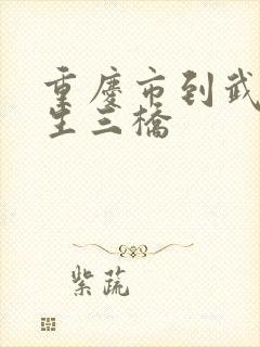 重庆市到武隆天生三桥