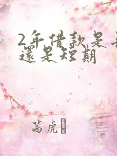 2年借款是长期还是短期