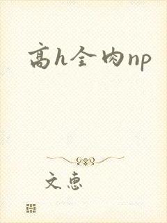 高h全肉np