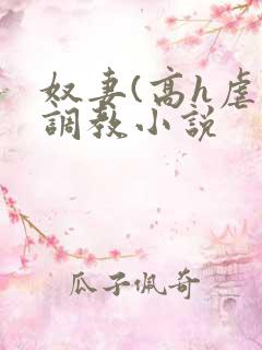 奴妻(高h虐身调教小说