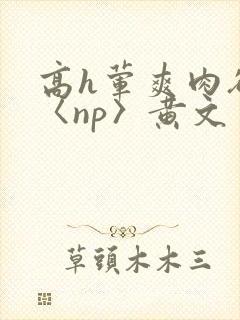 高h荤爽肉欲文〈np〉黄文