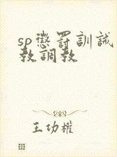 sp惩罚训诫管教调教