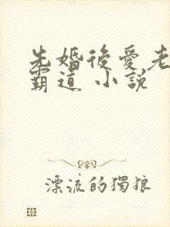 先婚后爱老公太霸道 小说