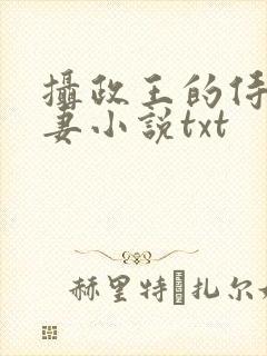 摄政王的侍爱逃妻小说txt