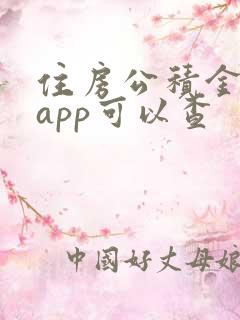 住房公积金哪个app可以查