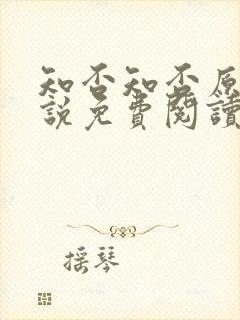 知否知否原著小说免费阅读