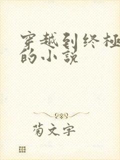 穿越到终极斗罗的小说