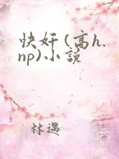 快奸 (高h.np)小说