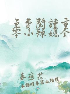 免费阅读重生七零小辣媳全文