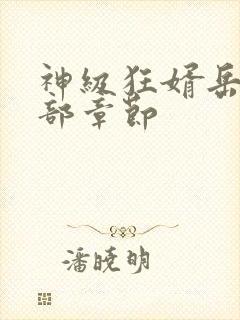 神级狂婿岳风全部章节