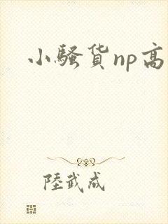 小骚货np高h