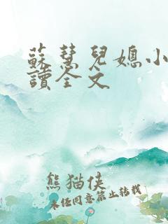 苏慧儿媳小说阅读全文