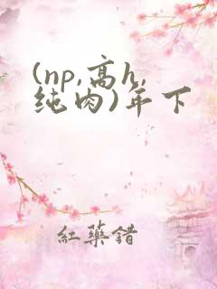 (np,高h,纯肉)年下