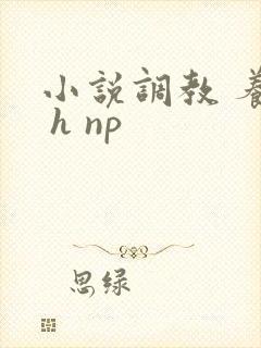 小说调教 养成 h np