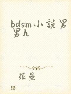 bdsm小说男男h