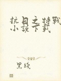 抗日之特战兵王小说下载