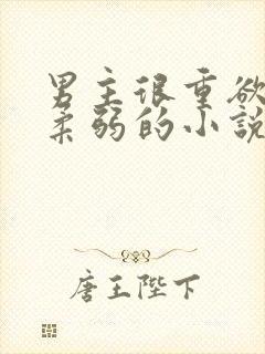 男主很重欲女主柔弱的小说