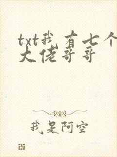 txt我有七个大佬哥哥