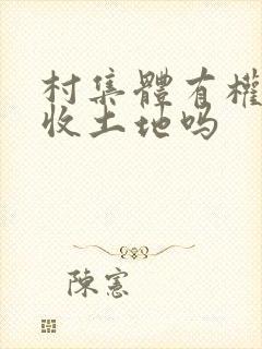 村集体有权利征收土地吗