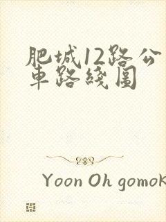 肥城12路公交车路线图