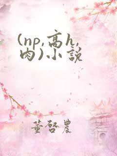 (np,高h,肉)小说