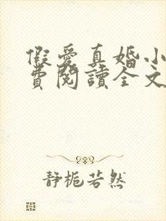 假爱真婚小说免费阅读全文