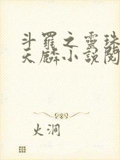 斗罗之灵珠神剑天麟小说阅读版